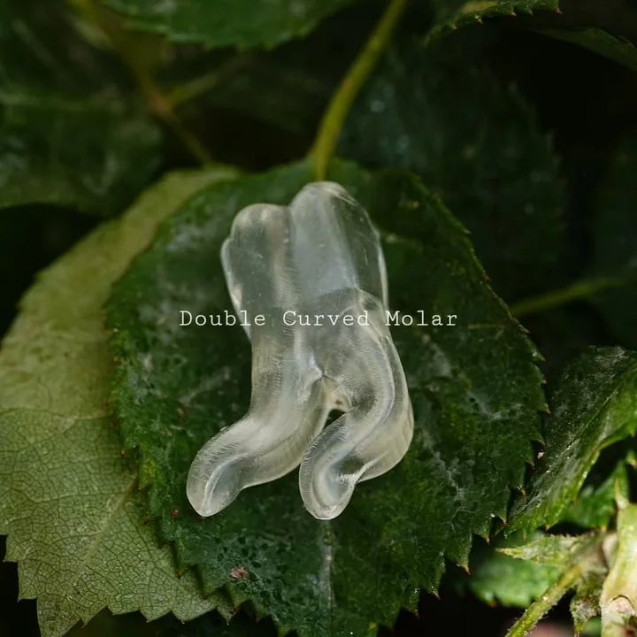 Double-Curved Molar — 4K-CRM-DCM