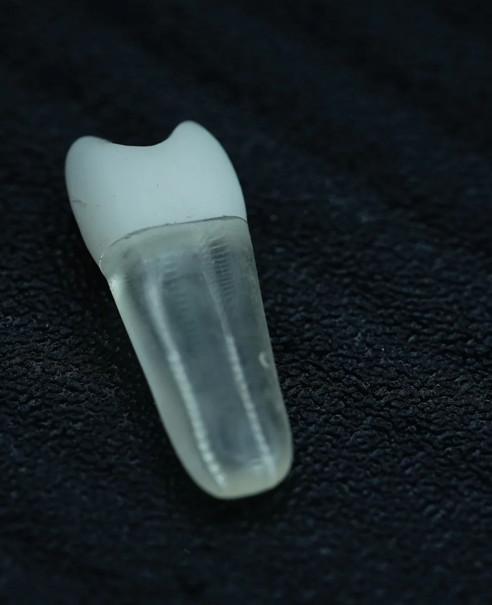 Upper Second Premolar — image 1 of 3