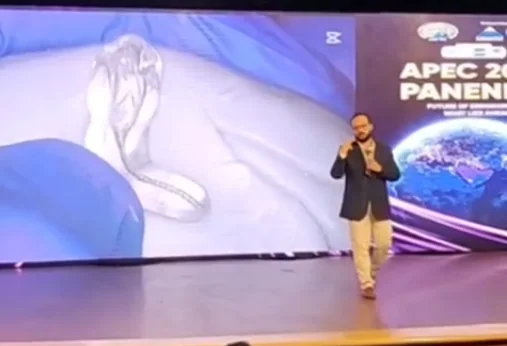 A 4K model displayed on the main screen during a lecture at APEC Panendo