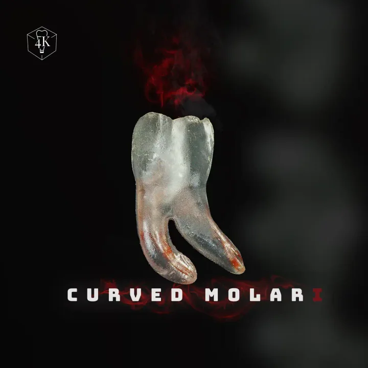 Curved Molar Model — 4K-CRM-CM