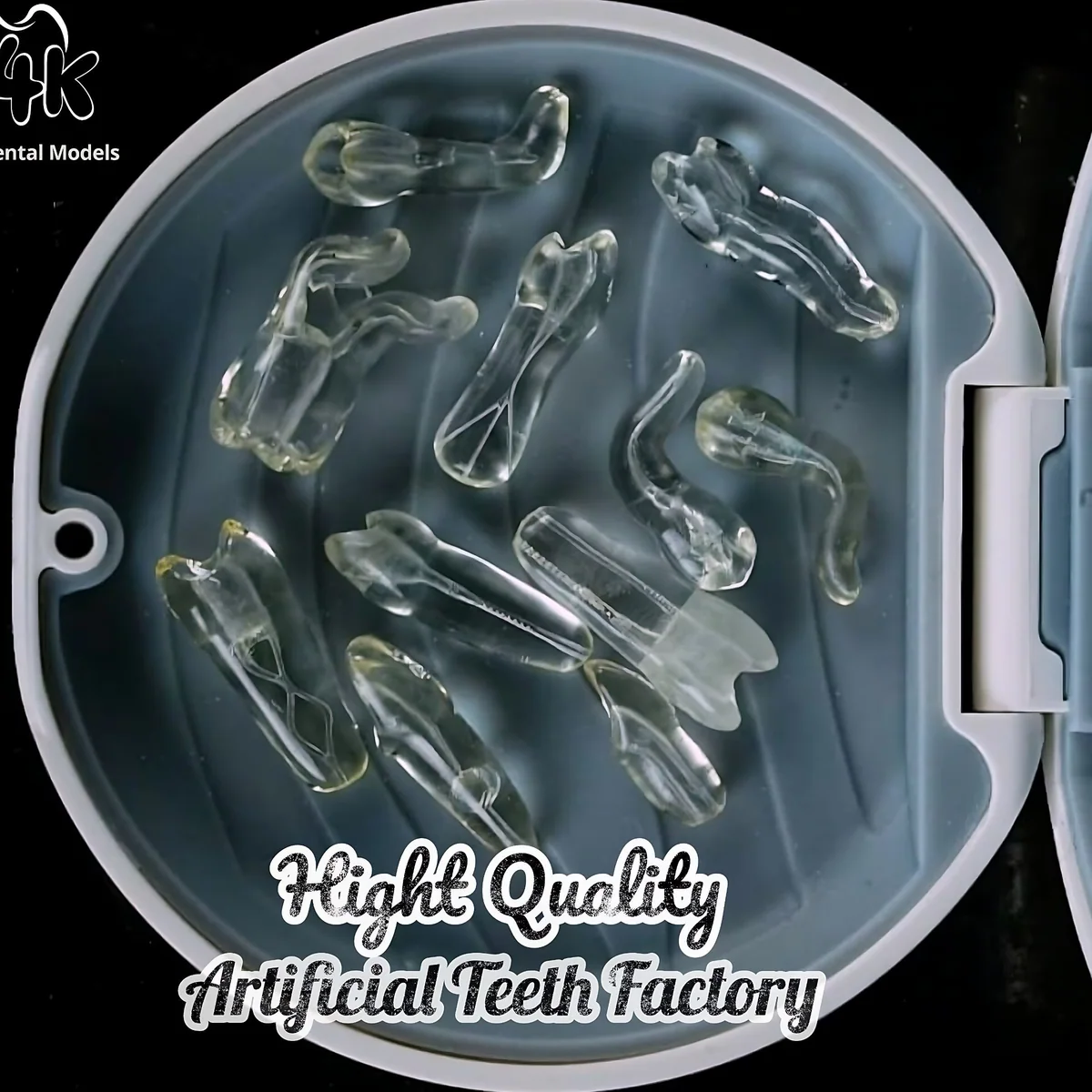 تشكيلة نماذج 4K Dental Models — أسنان اصطناعية شفافة داخل علبة دائرية مفتوحة