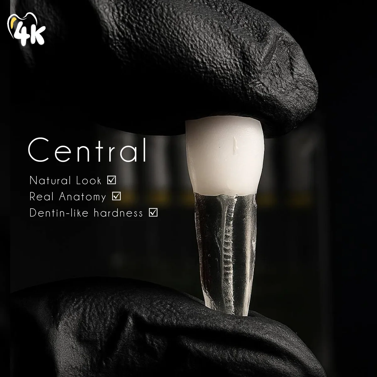 Upper Central Incisor — image 1 of 2